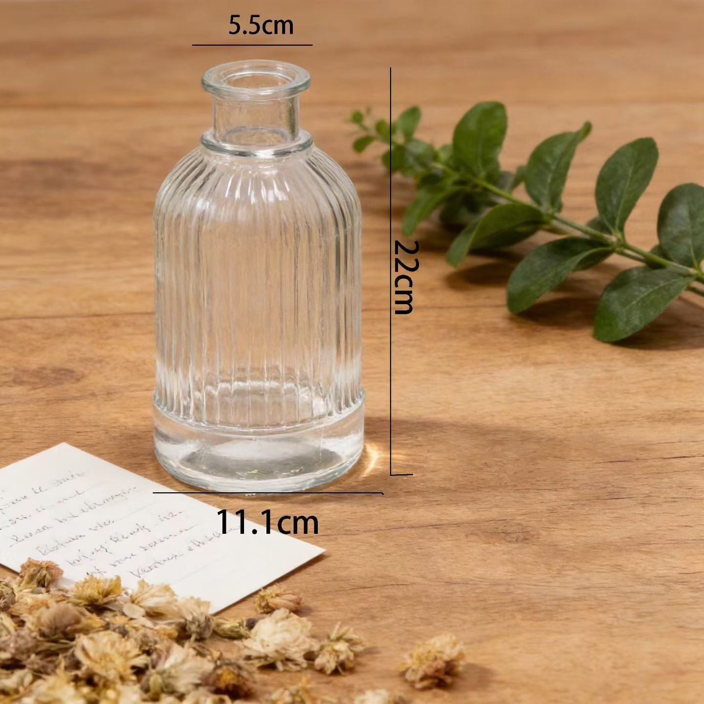 Clear Ribbed Glass Flower Vase – Decorative Bud Vase for Home Table Centerpiece (S / M / L)